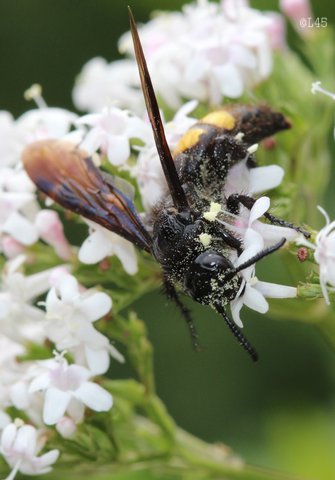 image04