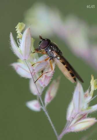image06