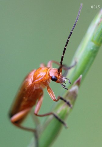 image07