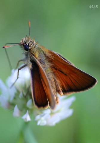 image08