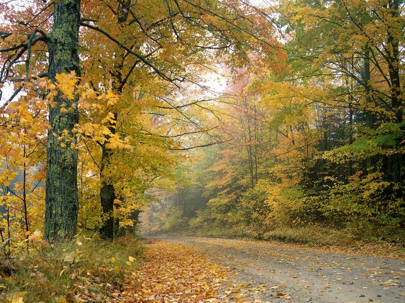Crisp_Autumn_Afternoon__Vermont_.jpg