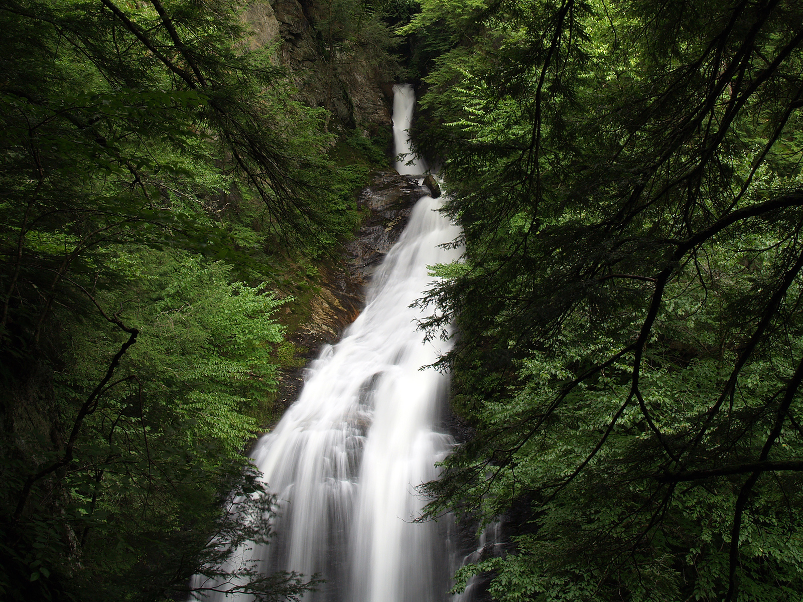 Nature_Forest_Waterfall_015339_.jpg