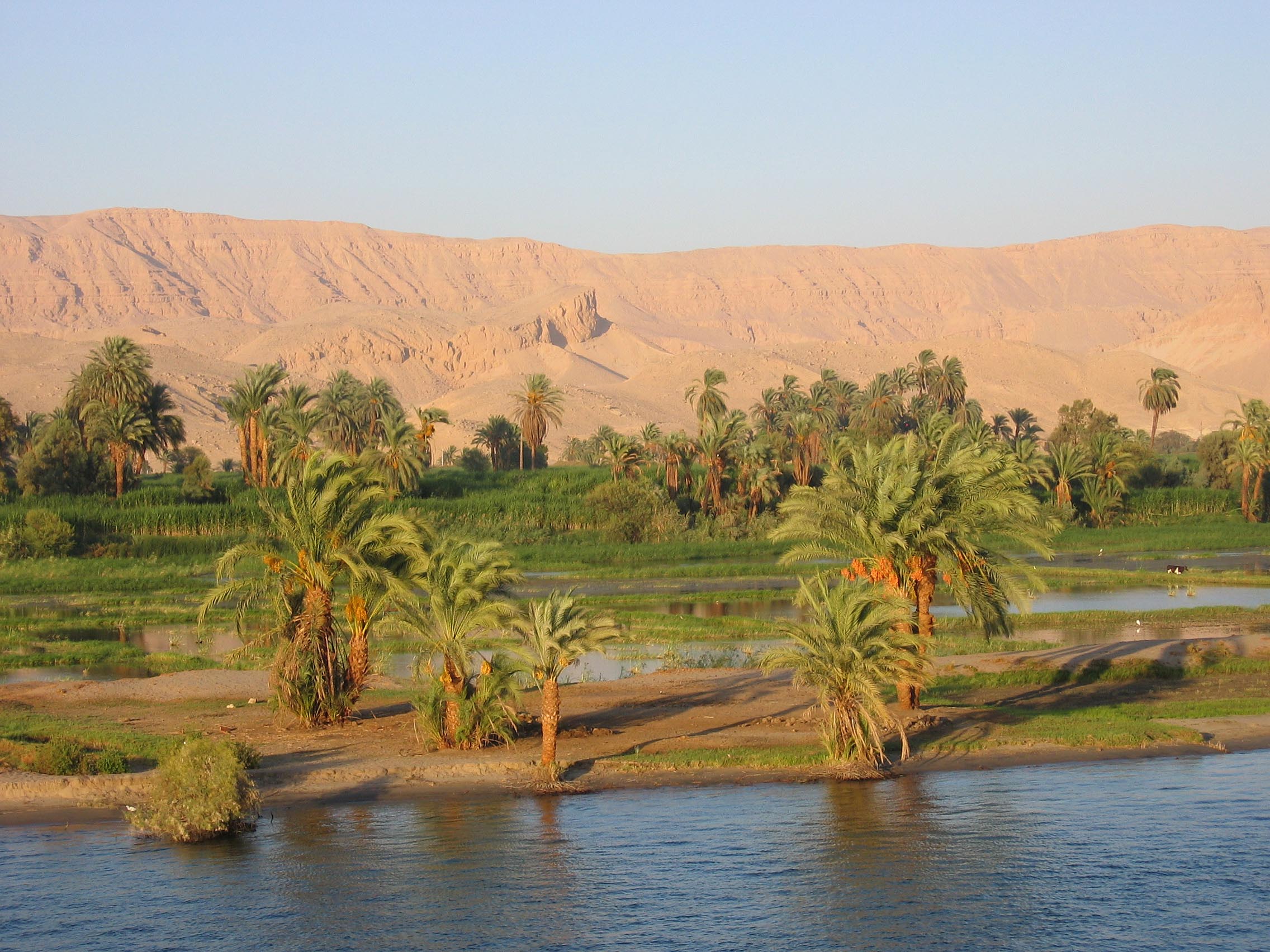 egypte099df.jpg