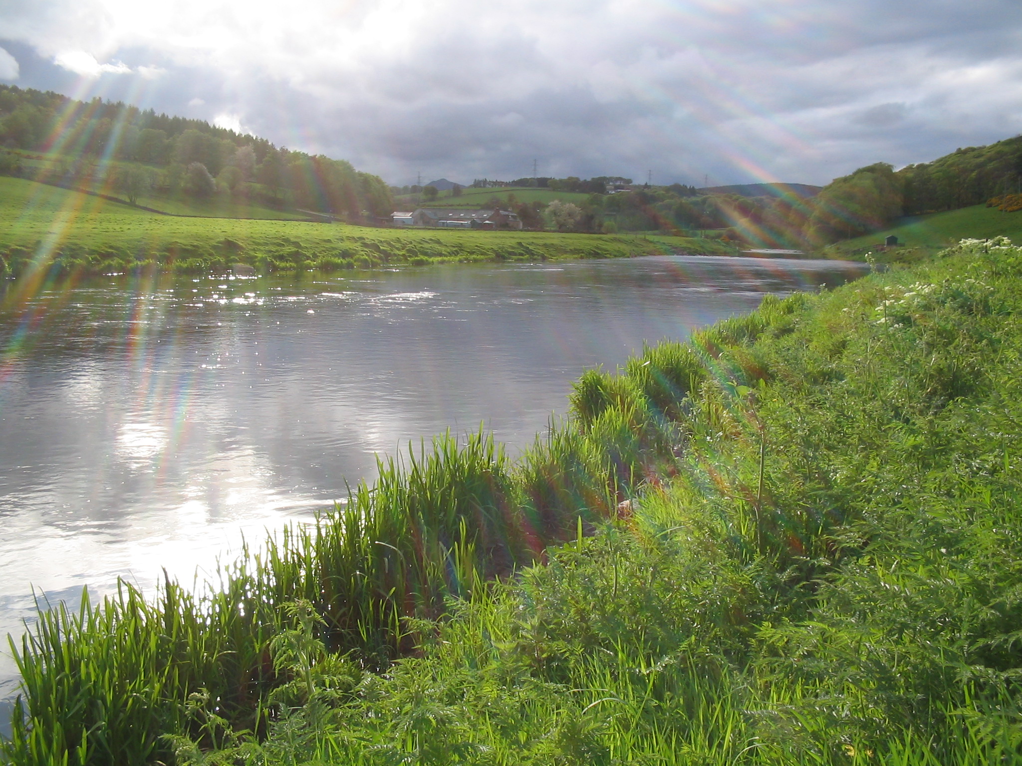 ouverture-peche-truite-fario-ecosse.jpg