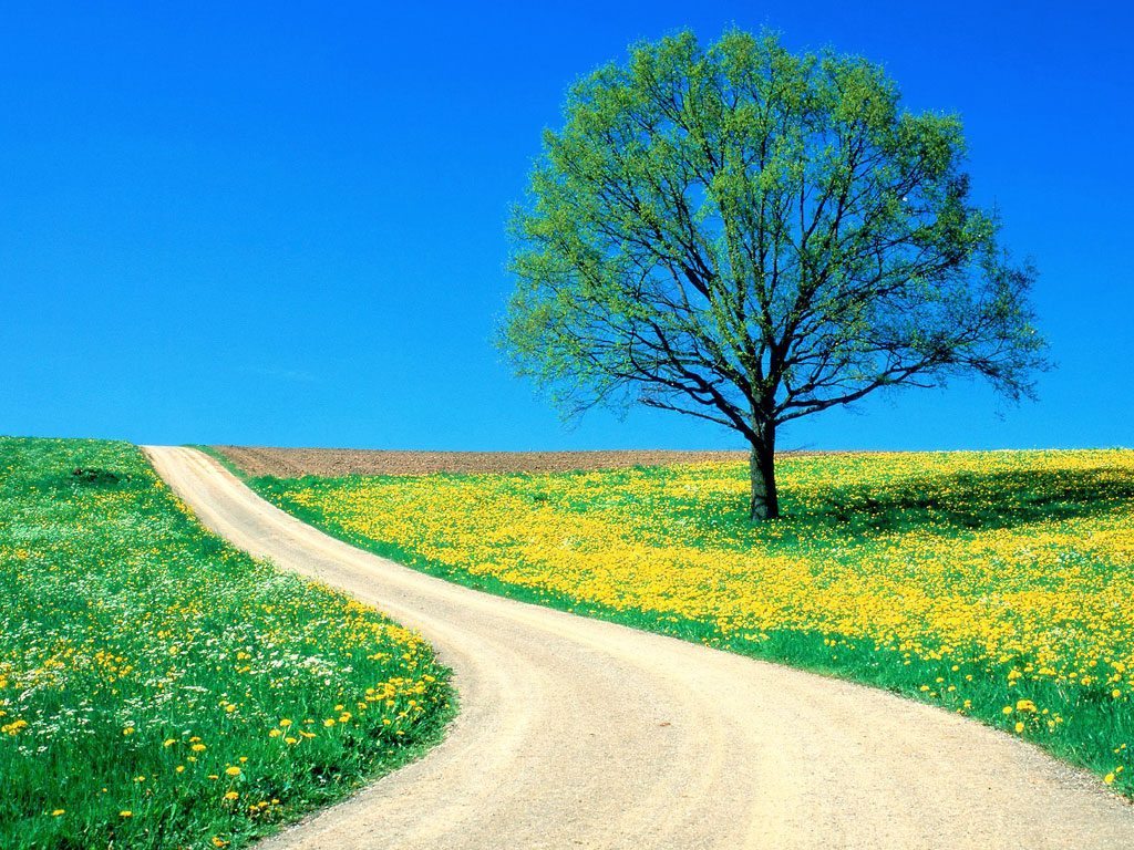 route_printemps.jpg