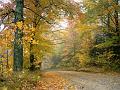 Crisp_Autumn_Afternoon__Vermont_